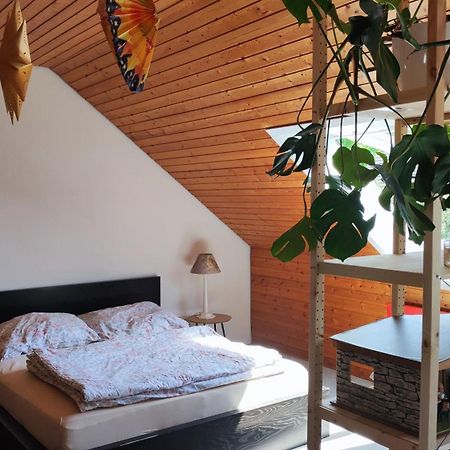 Big Cozy Entire Family Appartment Hannover Exteriör bild