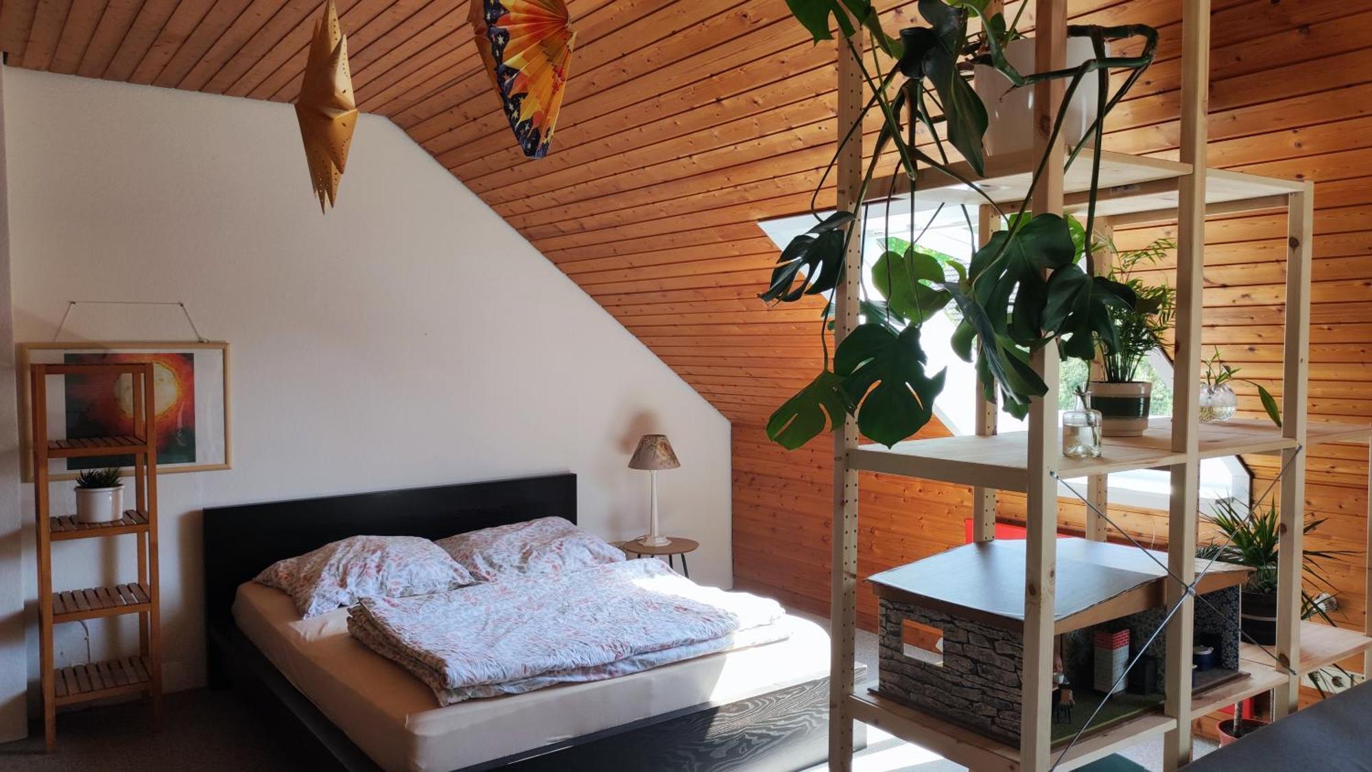 Big Cozy Entire Family Appartment Hannover Exteriör bild